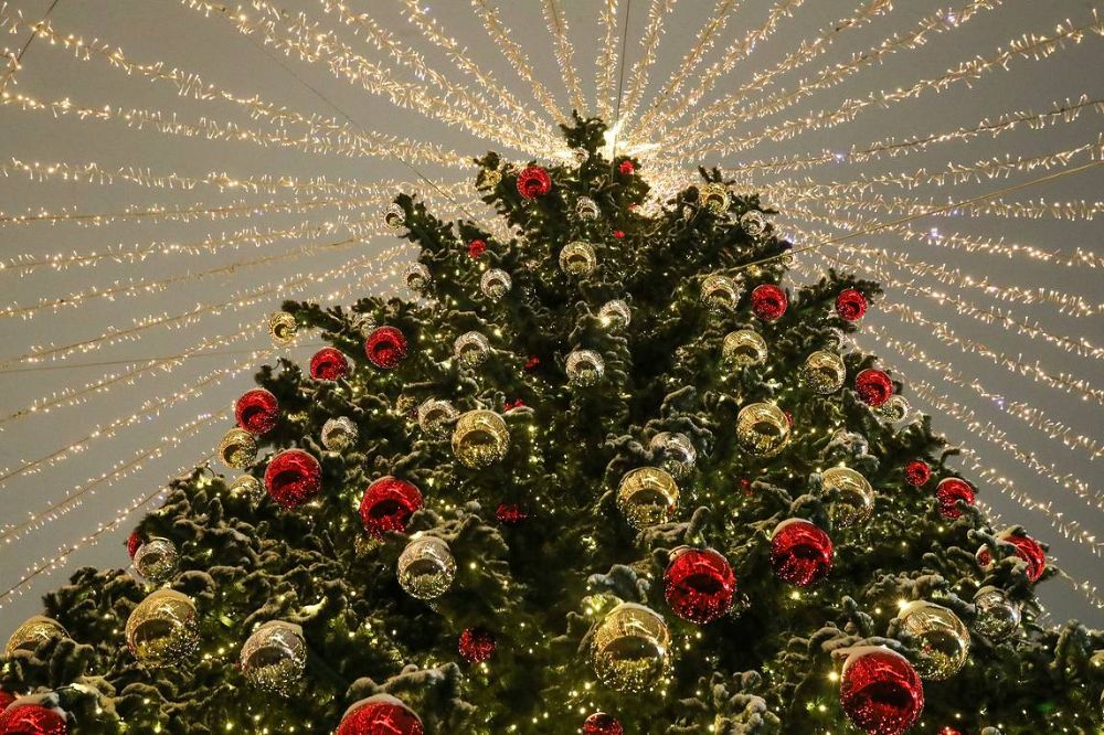 Embassy Christmas Tree